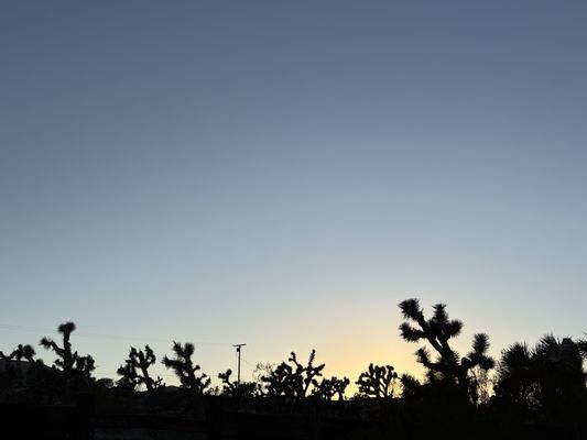 Joshua Tree Inn by null