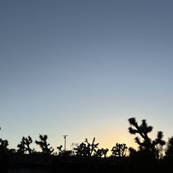 Joshua Tree Inn & Motel - My "Ansel Adams" photo of our backyard view.