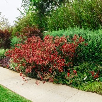 ShrubHub - Nurseries & Gardening Near Me ShrubHub - Nurseries & Gardening Near Me