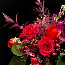 Snapdragon Flowers - Pink Tourmaline! Valentine's Day 2019.