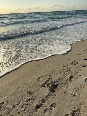 Acqualina Resort & Residences On The Beach by null