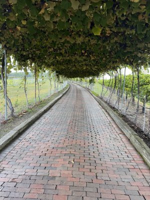 Belkin Family Lookout Farm - U-Pick Orchard - Taproom, Outdoor Dining and Market by null