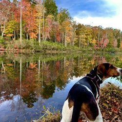 Walnut Creek Park