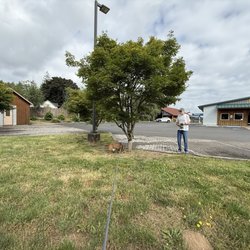 Fargher Lakehouse - Nice open grassy area and back to walk your pup.