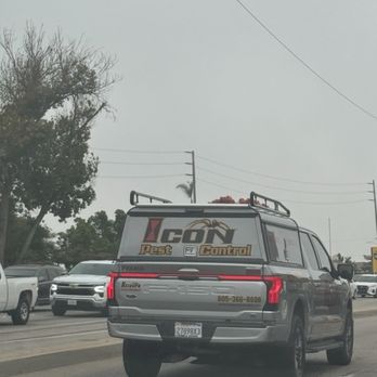 Icon Pest Control - Icon Pest Control - Pest Control Near Me Icon Pest Control - Icon Pest Control - Pest Control Near Me