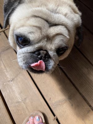 Six Peaks Winery by null