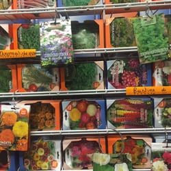 Bittarelli Legumi Cereali Sementi Concimi Mangimi - Semi per coltivazioni aromatiche e ornamentali
