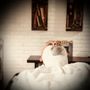 Photo of Lather & Steel Barbershop & Beard Parlour