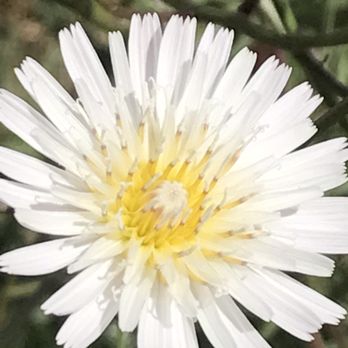 Whitney Canyon Park - Cute! :) - Parks Near Me - Newhall, California Whitney Canyon Park - Cute! :) - Parks Near Me - Newhall, California
