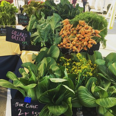 Finca Tres Robles by null