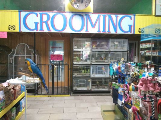 Pete’s Pet Supply by null