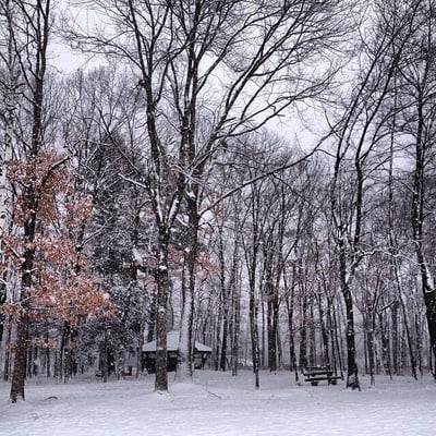 Hampshire College by null