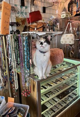 Glam Factory Vintage by null