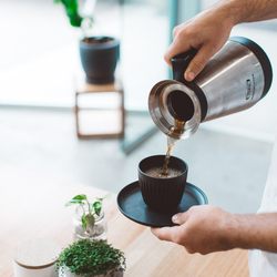 Audrey Coffee