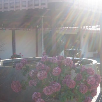 Point Reyes Vineyards - The garden-patio area. - Wineries Near Me - Point Reyes Station, California Point Reyes Vineyards - The garden-patio area. - Wineries Near Me - Point Reyes Station, California