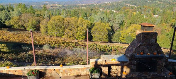 Skinner Vineyards & Winery by null