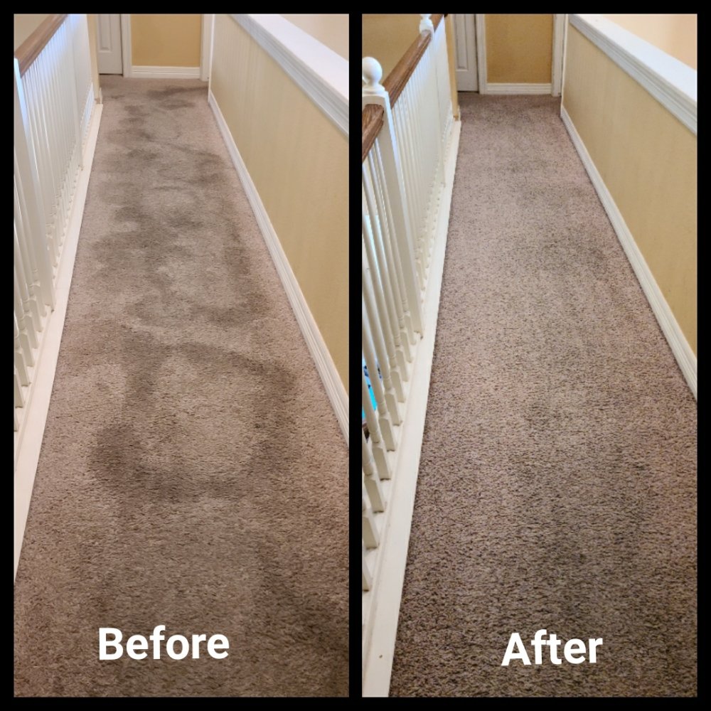 WINGSPAN CARPET CLEANING Updated May 2024 45 Photos Burleson