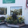Photo of Urban Garden Center