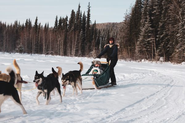 Last Frontier Mushing Co-op by null
