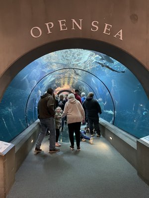 Oregon Coast Aquarium by null