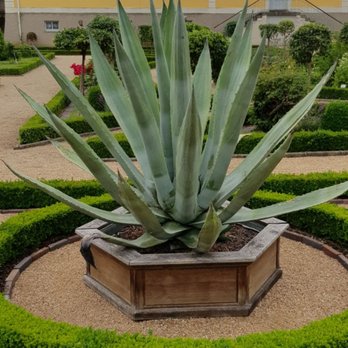 Hofgarten - Kaktus - Parks Near Me