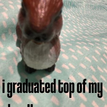 Billings Middle School - Emily is the smartest bunny ever :) - Middle Schools & High Schools Near Me - Seattle, Washington