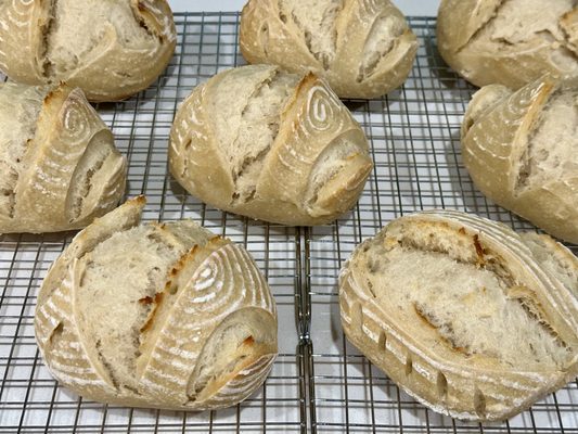 Neon Belly Coffee & Bakery by null