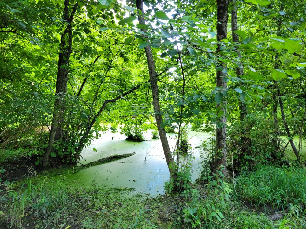 Social spots from Alum Creek North Park