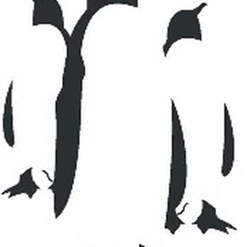 Penguin Internet - Penguin Internet Ltd - IT Services & Computer Repair Near Me - Cardiff, CRF
