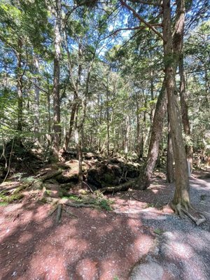 Fugaku Wind Cave by null