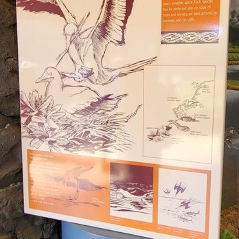 Kilauea Point - Info - Wildlife Control Near Me - Kilauea, Hawaii Kilauea Point - Info - Wildlife Control Near Me - Kilauea, Hawaii