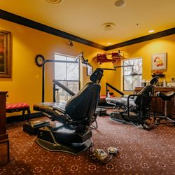 Wiley L Kristina, DDS