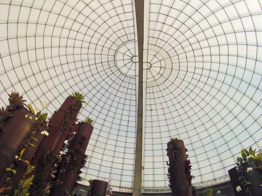 Parque Villa-Lobos by null