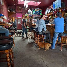 people sitting at a bar with dogs