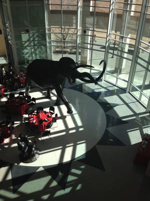 Sam Noble Oklahoma Museum of Natural History by null
