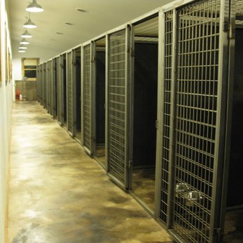 Dog Tired - Ten dog secure dog kennels.  9 are 6x7 and 1 is 7x10.  Each have their own drainage system and solar tube for natural light all day. - Pet Sitting Near Me