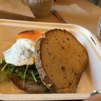 Honey Hi - Egg GF Breakfast Sandwich - Cafes Near Me - Los Angeles, California Honey Hi - Egg GF Breakfast Sandwich - Cafes Near Me - Los Angeles, California