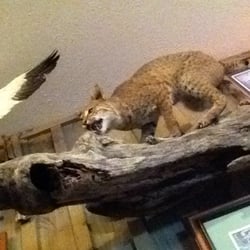 Ole Monterey Cafe
