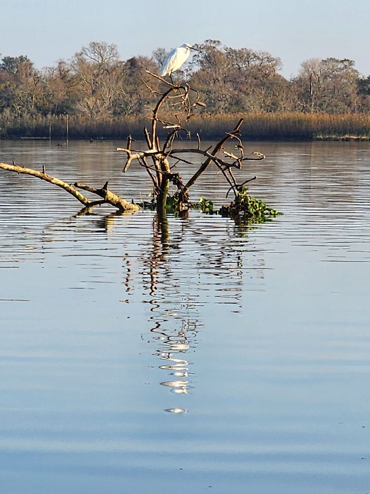 Pinky's Kayak Rentals