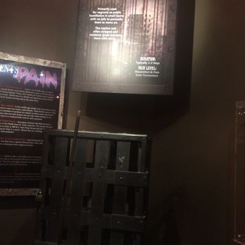 Ripley's Believe It or Not! - Museums Near Me - San Antonio, Texas