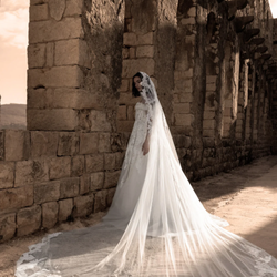 Catherdral Lace Mantilla veil