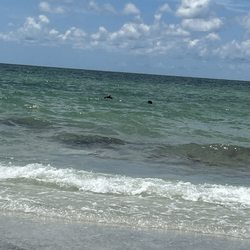 Beach Cottage Condos - Ocean