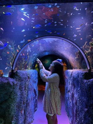 SEA LIFE San Antonio by null