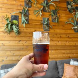 TEN20 Craft Brewery - Schnitzelburger