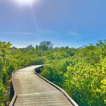 Joan M. Durante Park - The boardwalk with all the nature and sunshine - Parks Near Me - Longboat Key, Florida
