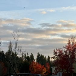 Fred Meyer - View alongside Fred Meyer! So colorful & beautiful!