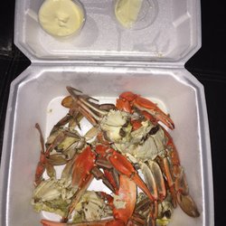 Newts Crab Trap