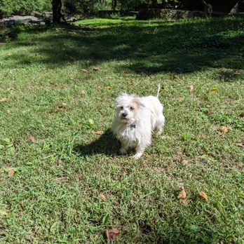 Bubba Brew's - Patches last hour of sunshine after 13 wonderful years - Sports Bars Near Me - Hot Springs, Arkansas