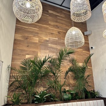 Cenote - Perfect area for a happy hour! - Mexican Near Me - San Francisco, California