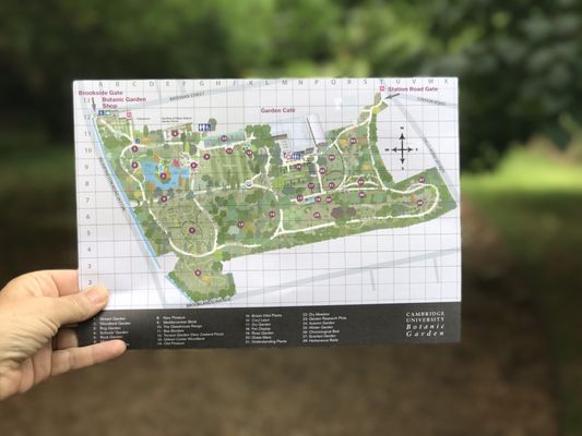 Cambridge University Botanic Garden by null